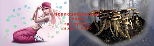 первитин Вязьма