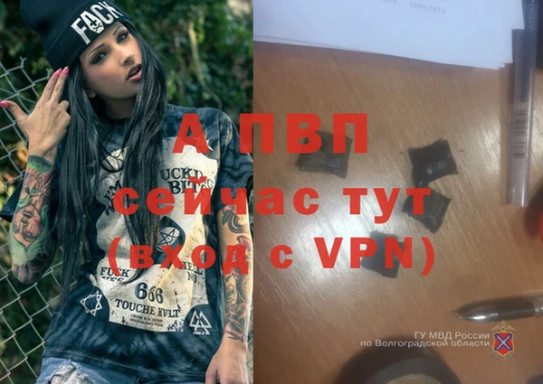 MESCALINE Волоколамск