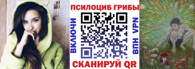 Псилоцибиновые грибы Magic Shrooms  Купить  Могоча 