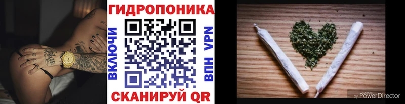 Купить где  Могоча  МАРИХУАНА ГИДРОПОН 